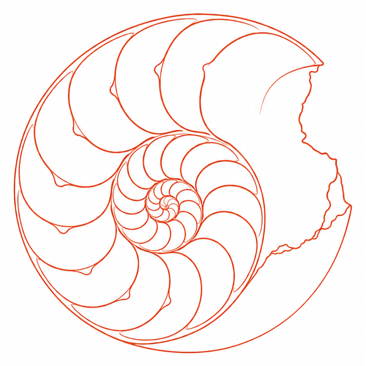 Nautilus
